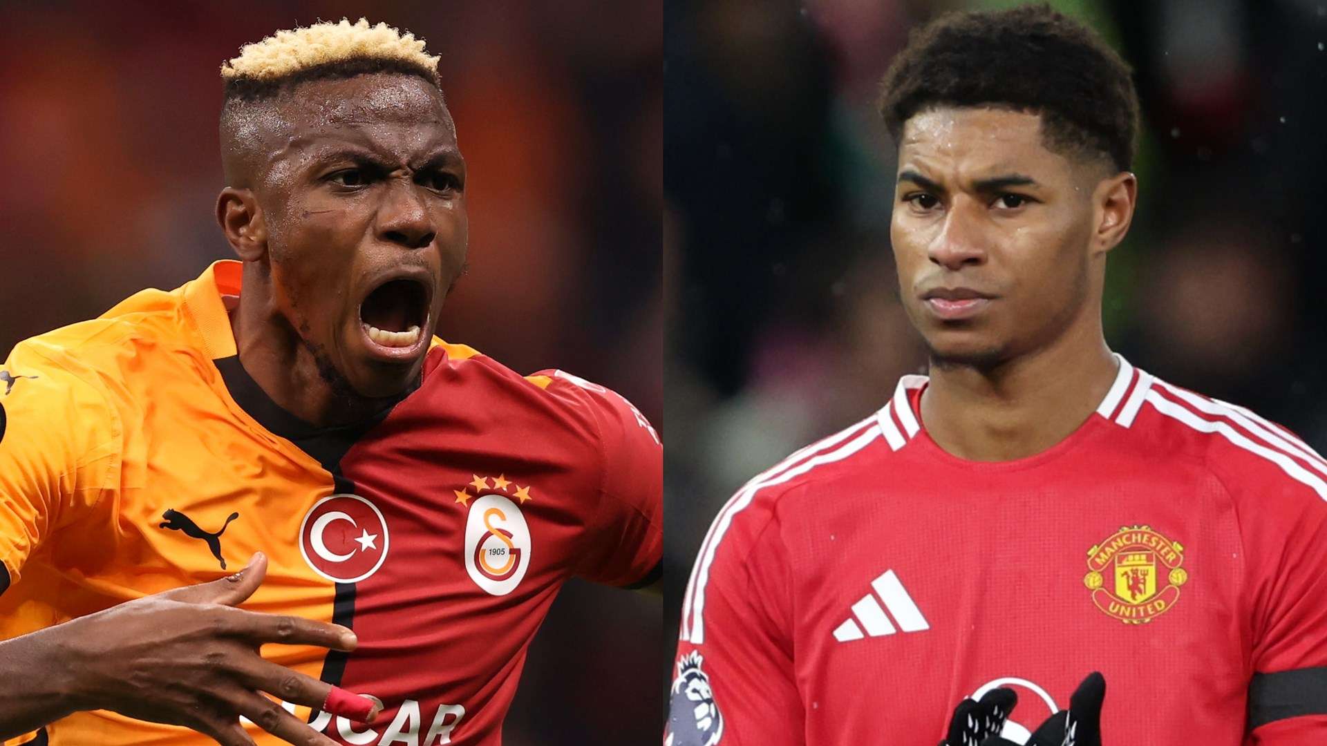 这篇文章将 这篇文章将