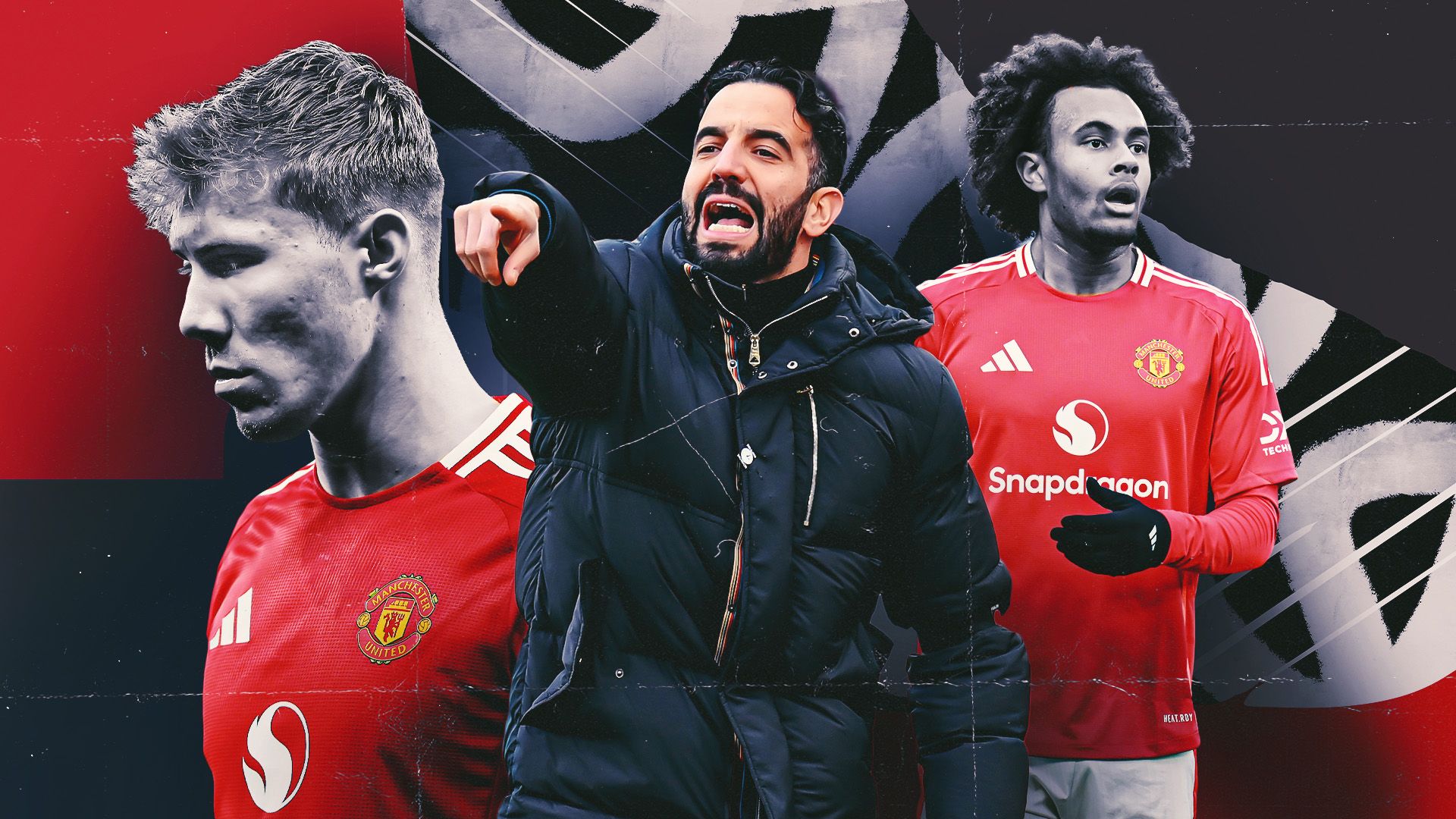 尼的强项 尼的强项