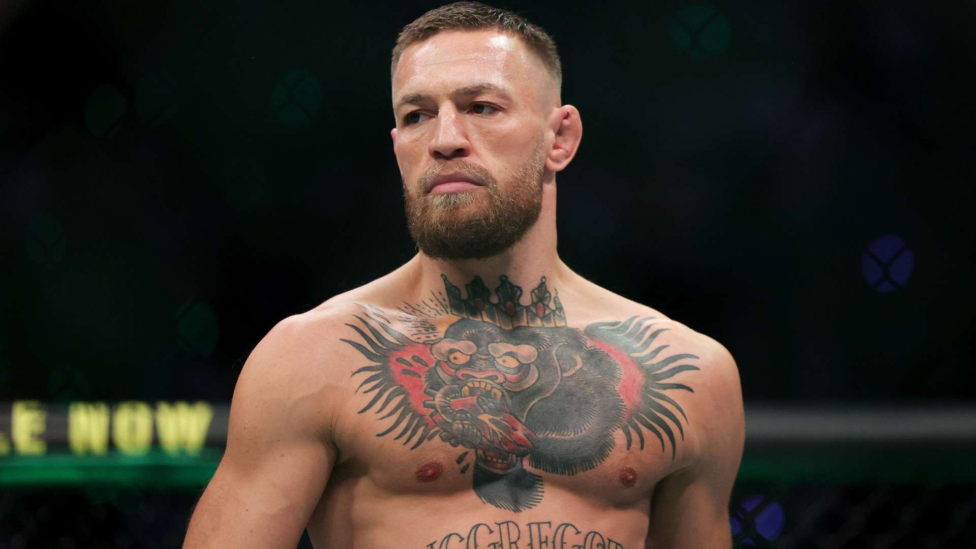 因此正在关 因此正在关