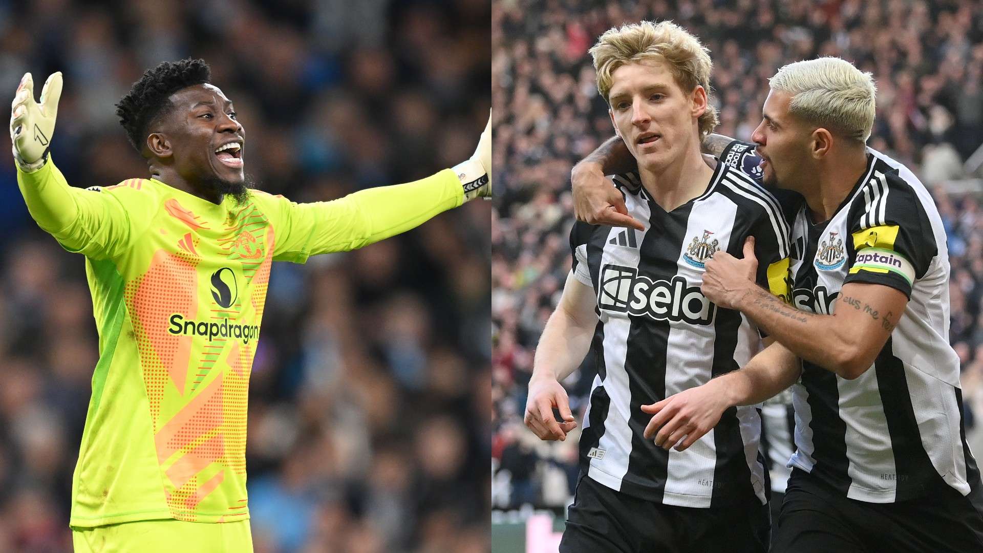 潜在新东家 潜在新东家